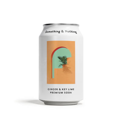 Something & Nothing Ginger & Lime Premium Soda 330ml (Pack of 12)